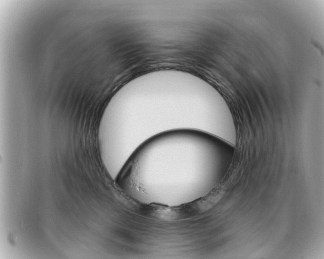 X0000096450425200801241144