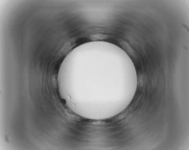 X0000096450426200801241144