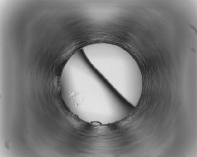 X0000096450428200801241144