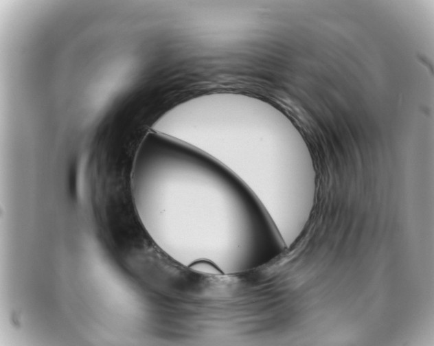 X0000096450429200801241144
