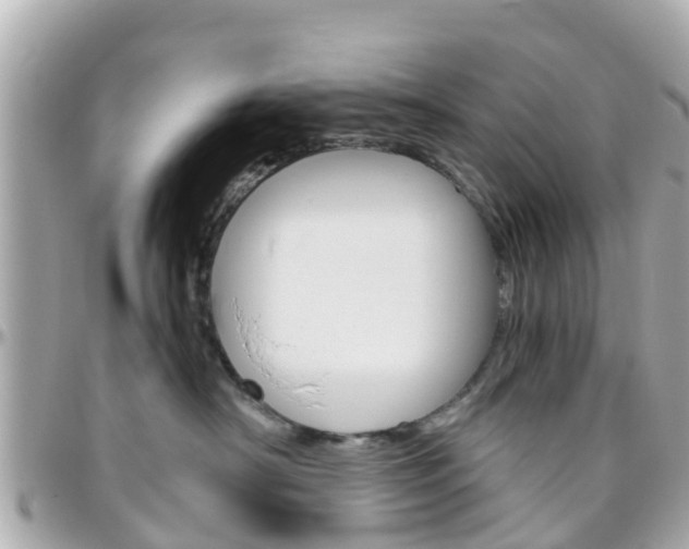 X0000096450430200801241144