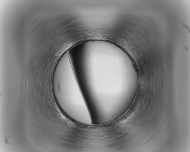 X0000096450433200801241143
