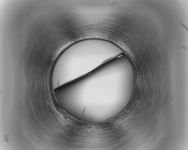 X0000096450434200801241143