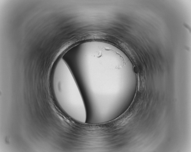 X0000096450435200801241143