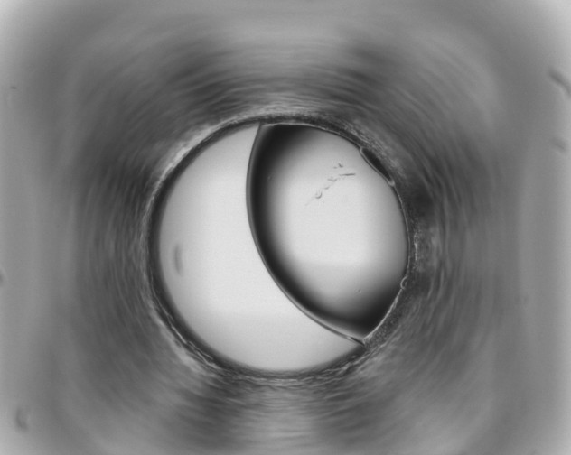X0000096450436200801241143