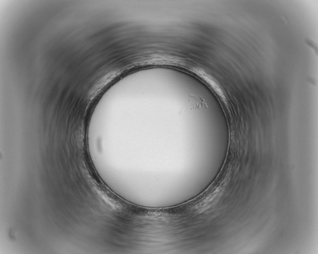 X0000096450437200801241143