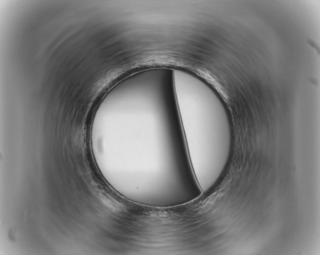 X0000096450439200801241143
