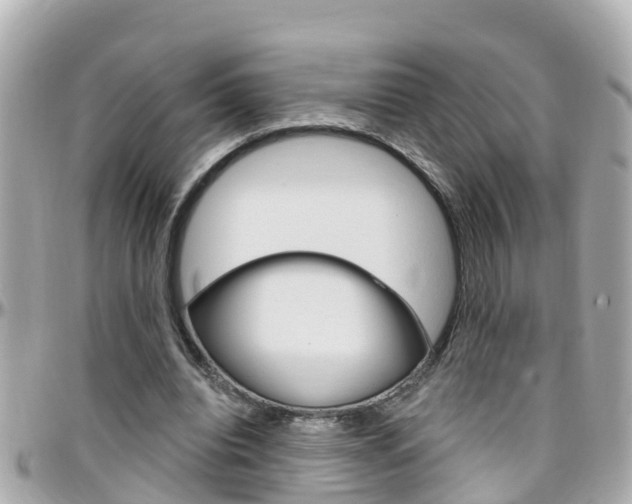 X0000096450440200801241143