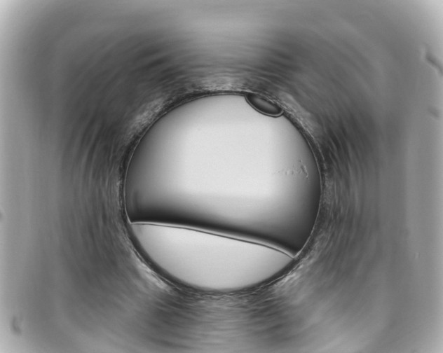 X0000096450441200801241143