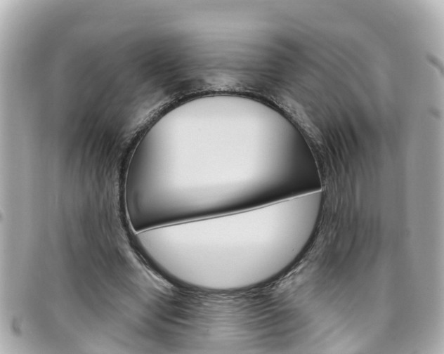 X0000096450442200801241143