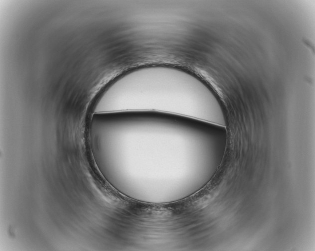 X0000096450443200801241143