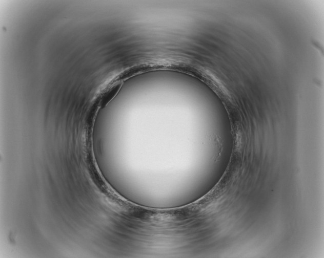 X0000096450444200801241144
