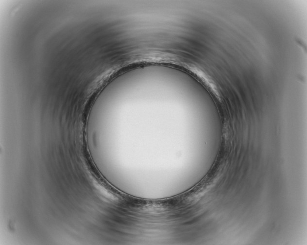 X0000096450445200801241144