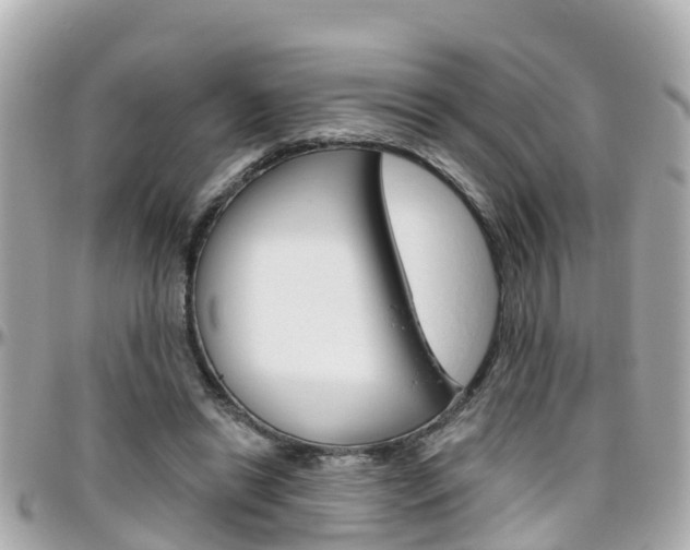 X0000096450446200801241144
