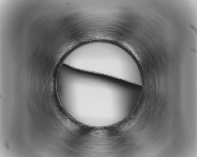 X0000096450447200801241144