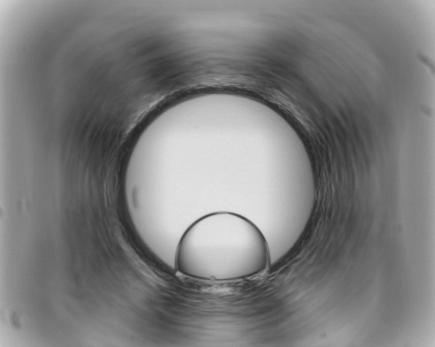 X0000096450448200801241144