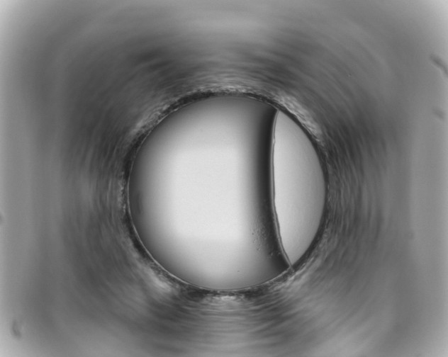 X0000096450449200801241144