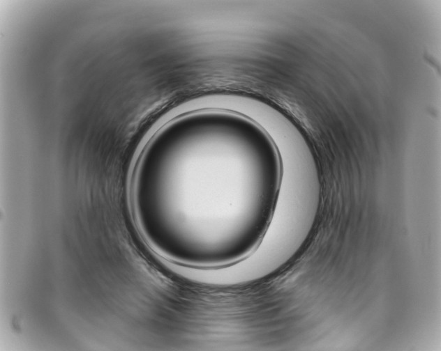 X0000096450450200801241144