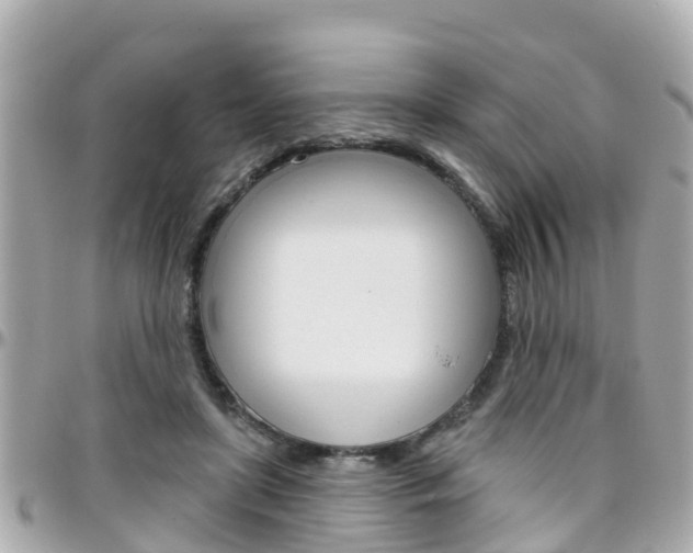 X0000096450451200801241144