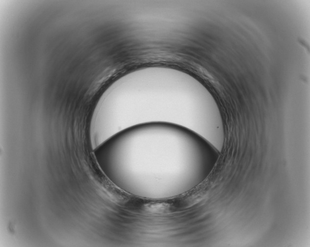 X0000096450452200801241144