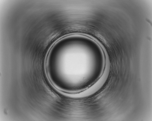 X0000096450454200801241144