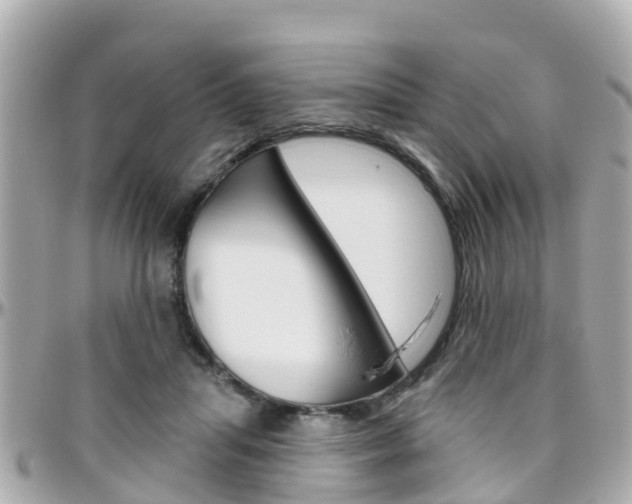X0000096450455200801241144