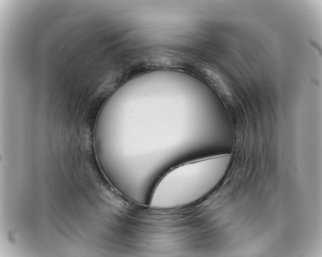 X0000096450457200801241144