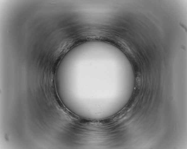 X0000096450458200801241144
