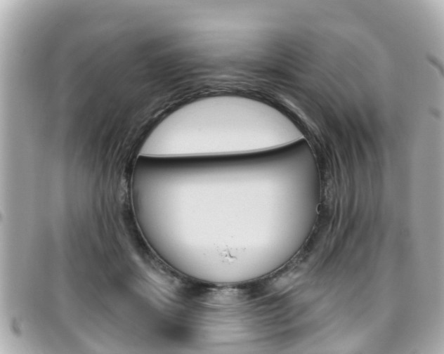 X0000096450459200801241144