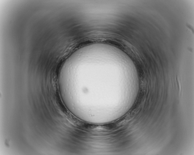 X0000096450460200801241144