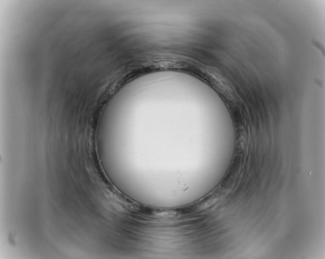 X0000096450461200801241144