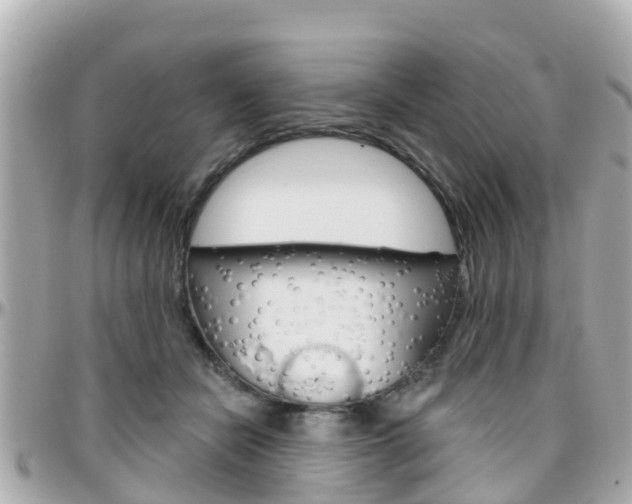 X0000096450462200801241144