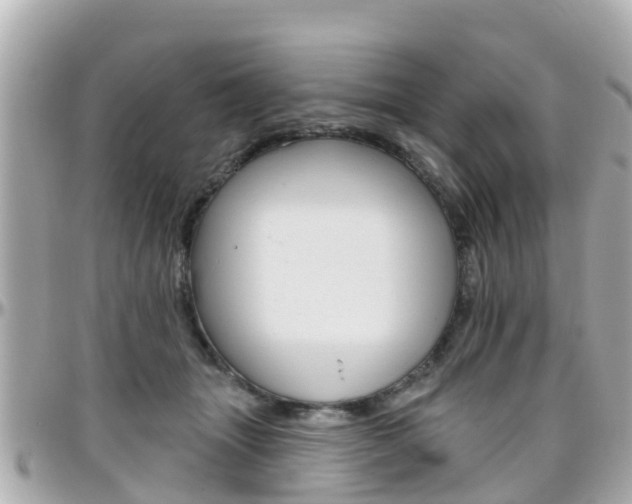 X0000096450463200801241144