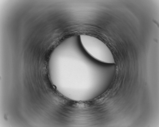 X0000096450464200801241144