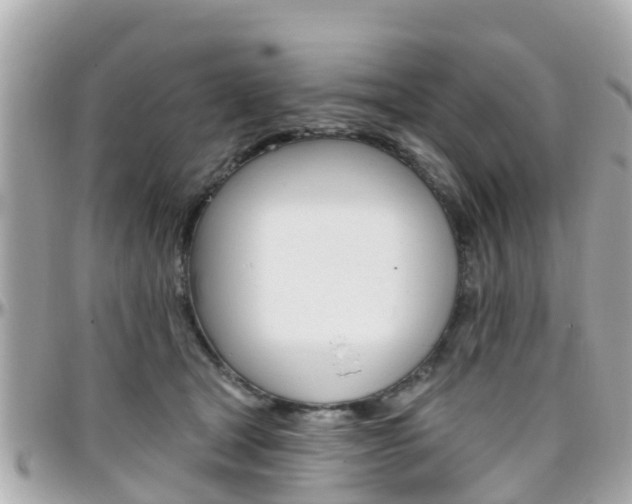 X0000096450465200801241144