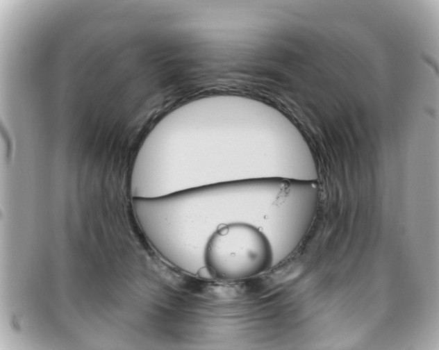 X0000096450466200801241144
