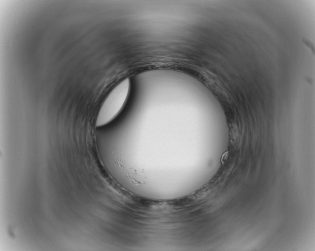 X0000096450470200801241144