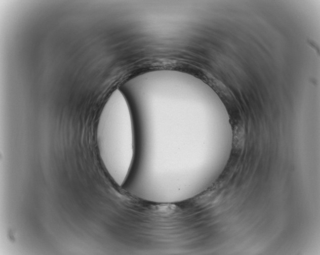 X0000096450474200801241144