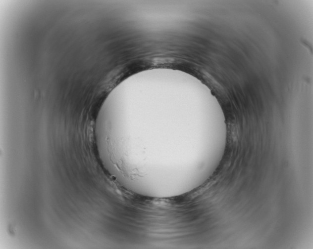 X0000096450475200801241144