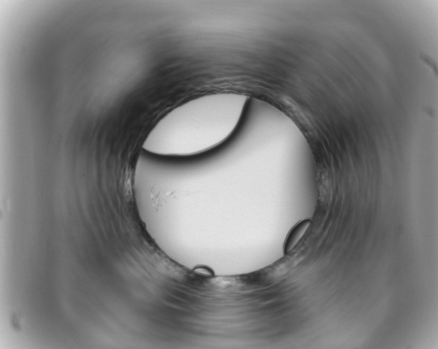 X0000096450477200801241144