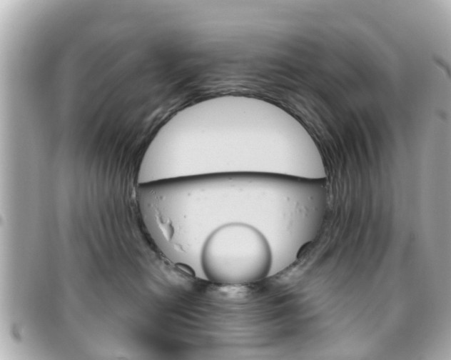 X0000096450478200801241144