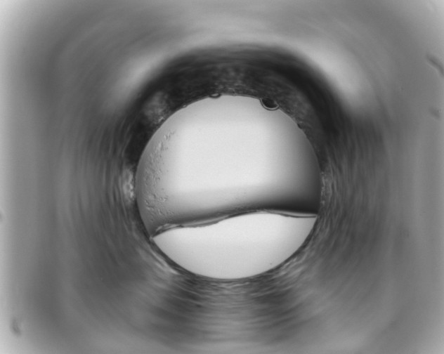 X0000096450479200801241144