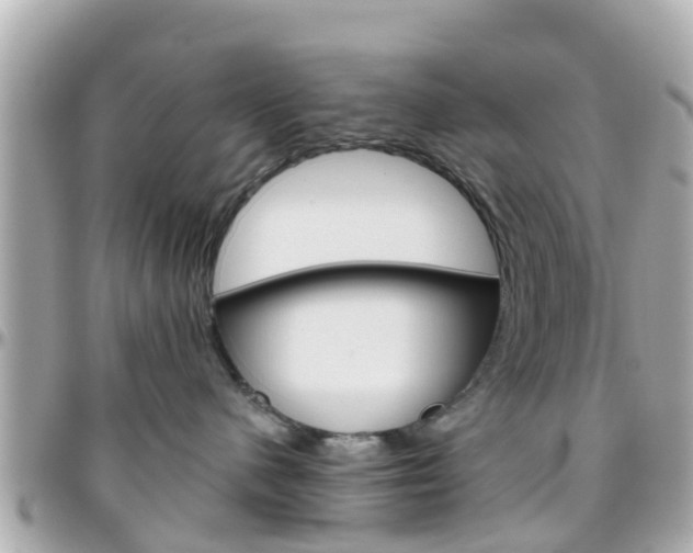 X0000096450480200801241144