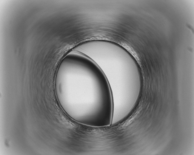 X0000096450481200801241143