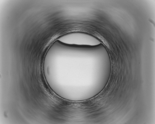 X0000096450482200801241143