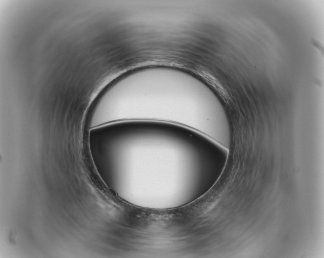 X0000096450484200801241143