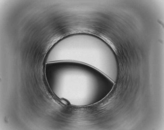 X0000096450485200801241143