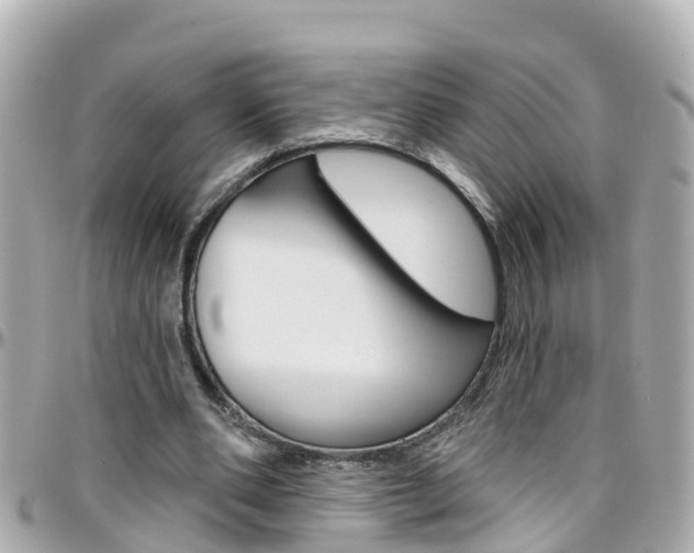 X0000096450486200801241143
