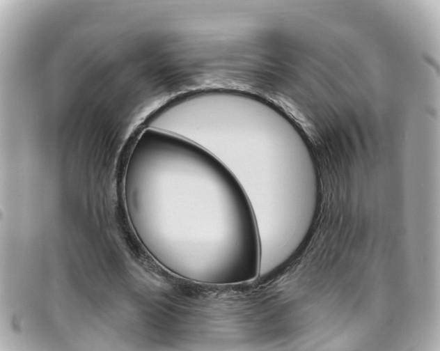 X0000096450488200801241143