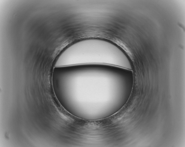 X0000096450489200801241143